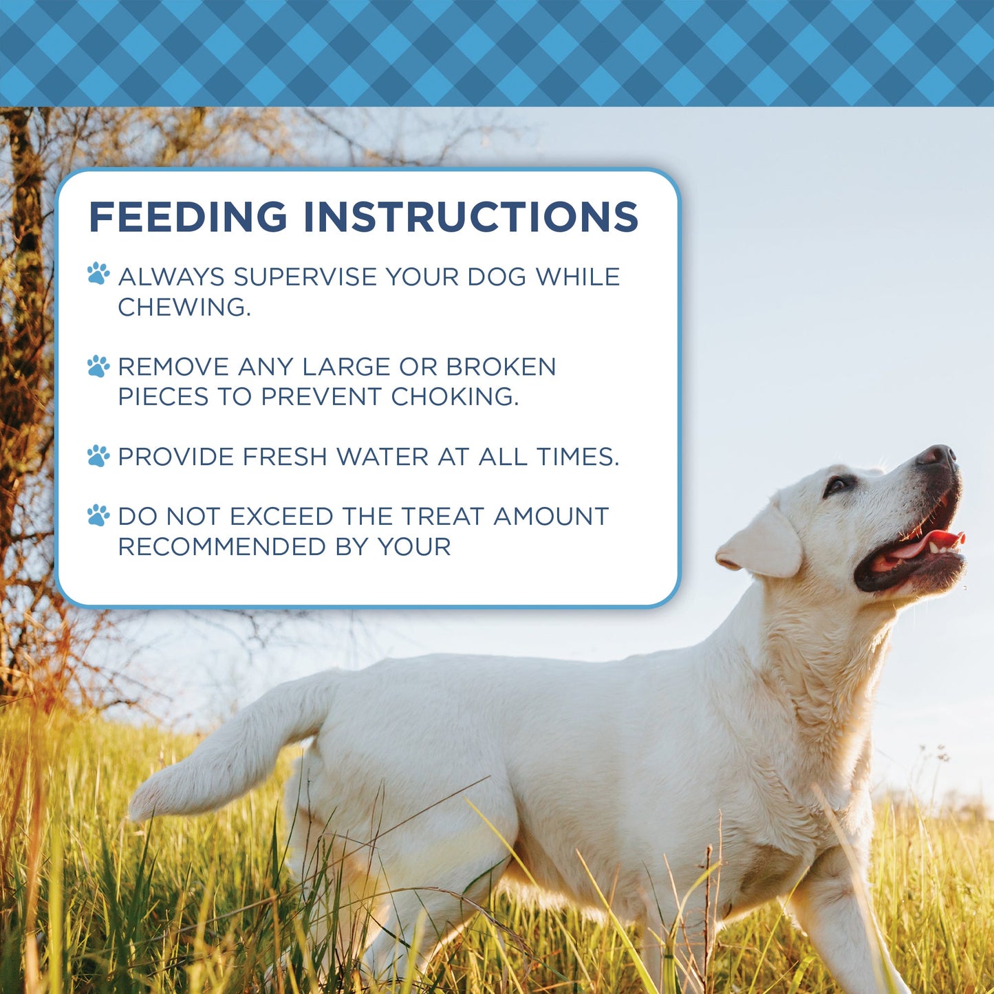 Country Living Natural Cow Ears Dog Chews – 10 Count Bag – All-Natural, Single-Ingredient, Long-Lasting Dog Chews – High-Protein, Low-Fat, Rawhide-Free – Supports Dental Health