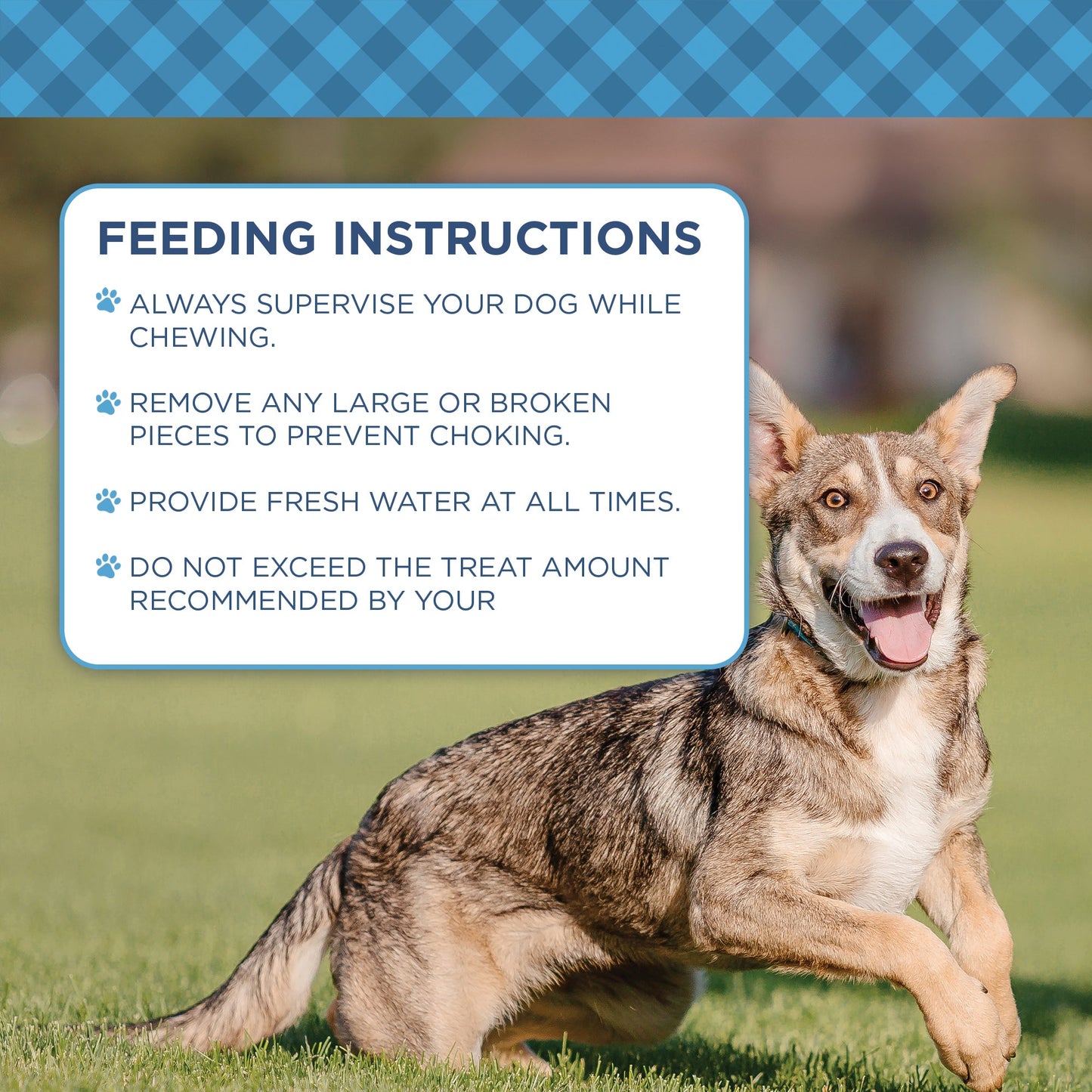 Country Living 5”-7” Cow Tails Dog Chews – 10 Count Bag – All-Natural, Single-Ingredient, Long-Lasting Beef Chews – High-Protein, Grain-Free – Promotes Dental Health