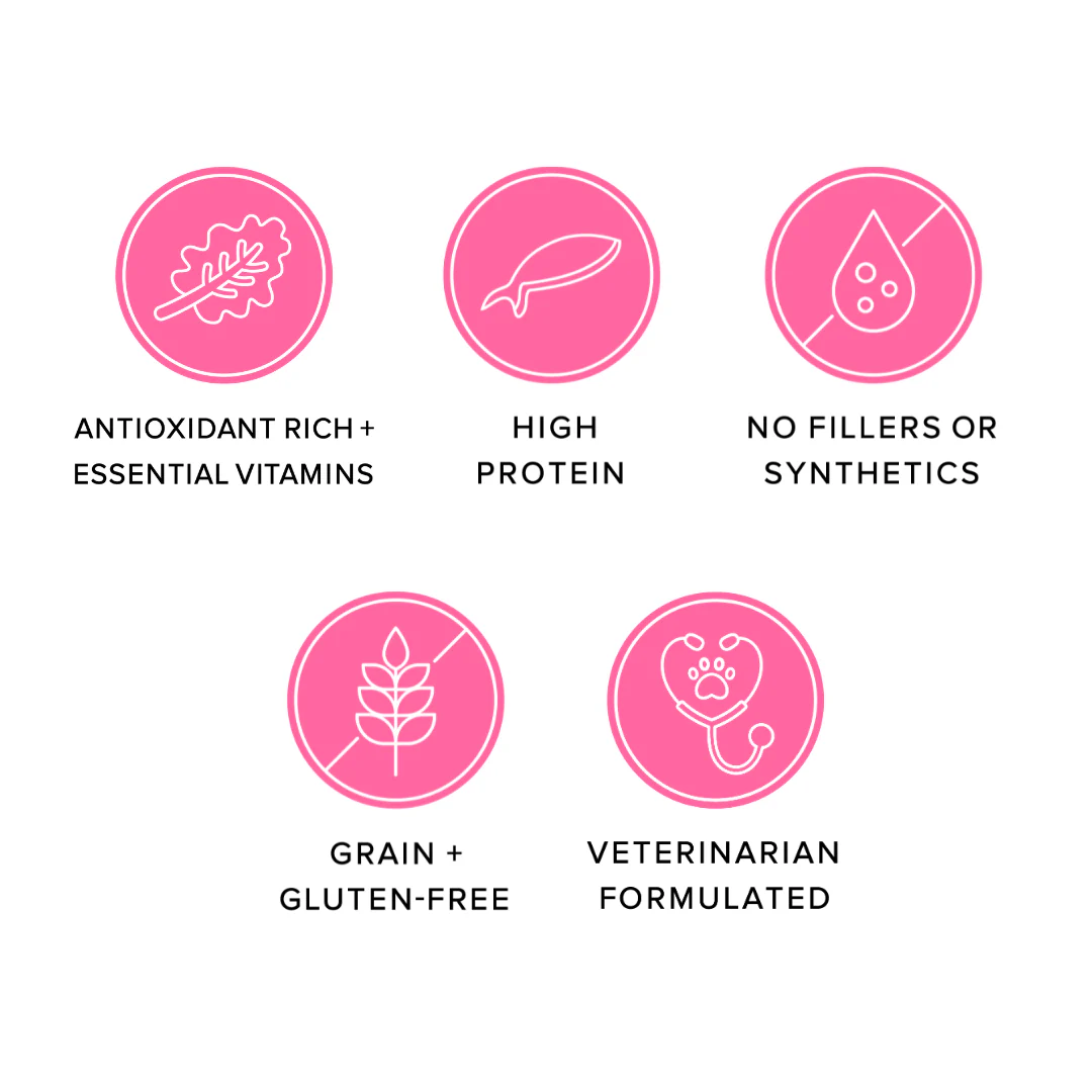 Ava's Pet Palace Freeze Dried Dog Treats - Salmon Puffs (3 oz)