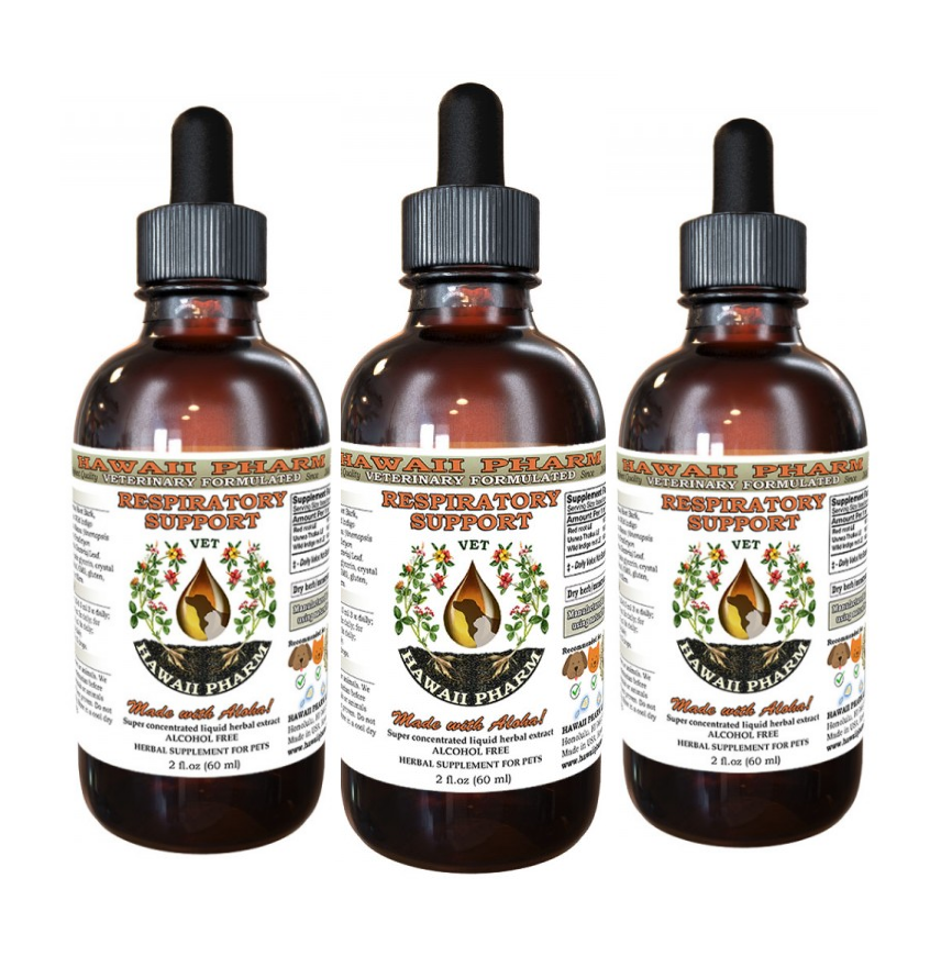 RESPIRATORY HEALTH / Pet Respiratory Support