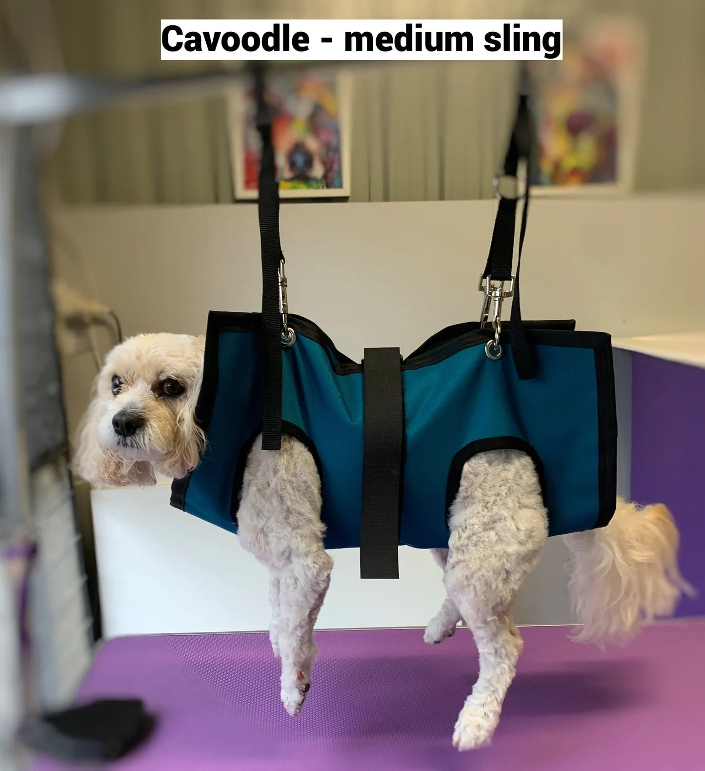 PET GROOMING SLING