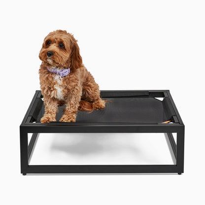 The Up Pup Dog Bed