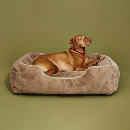 The Sammy Dog Bed