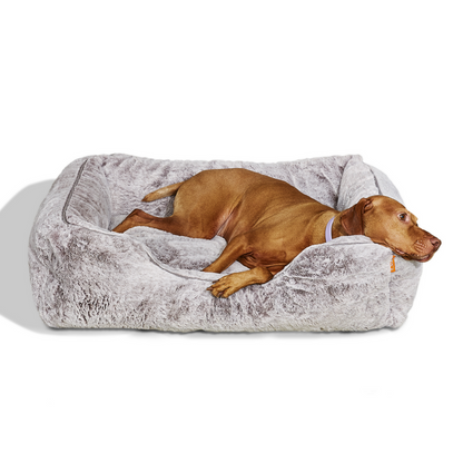The Sammy Dog Bed