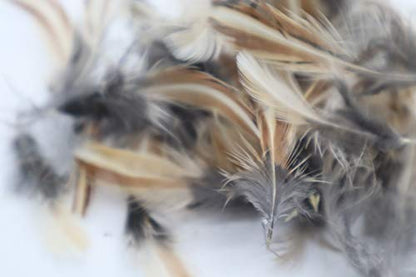Rooster Feathers for Fly-Fishing or Crafts from Quail
