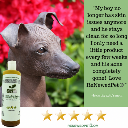 4-HAIRLESS PETS REGULAR CONDITIONER