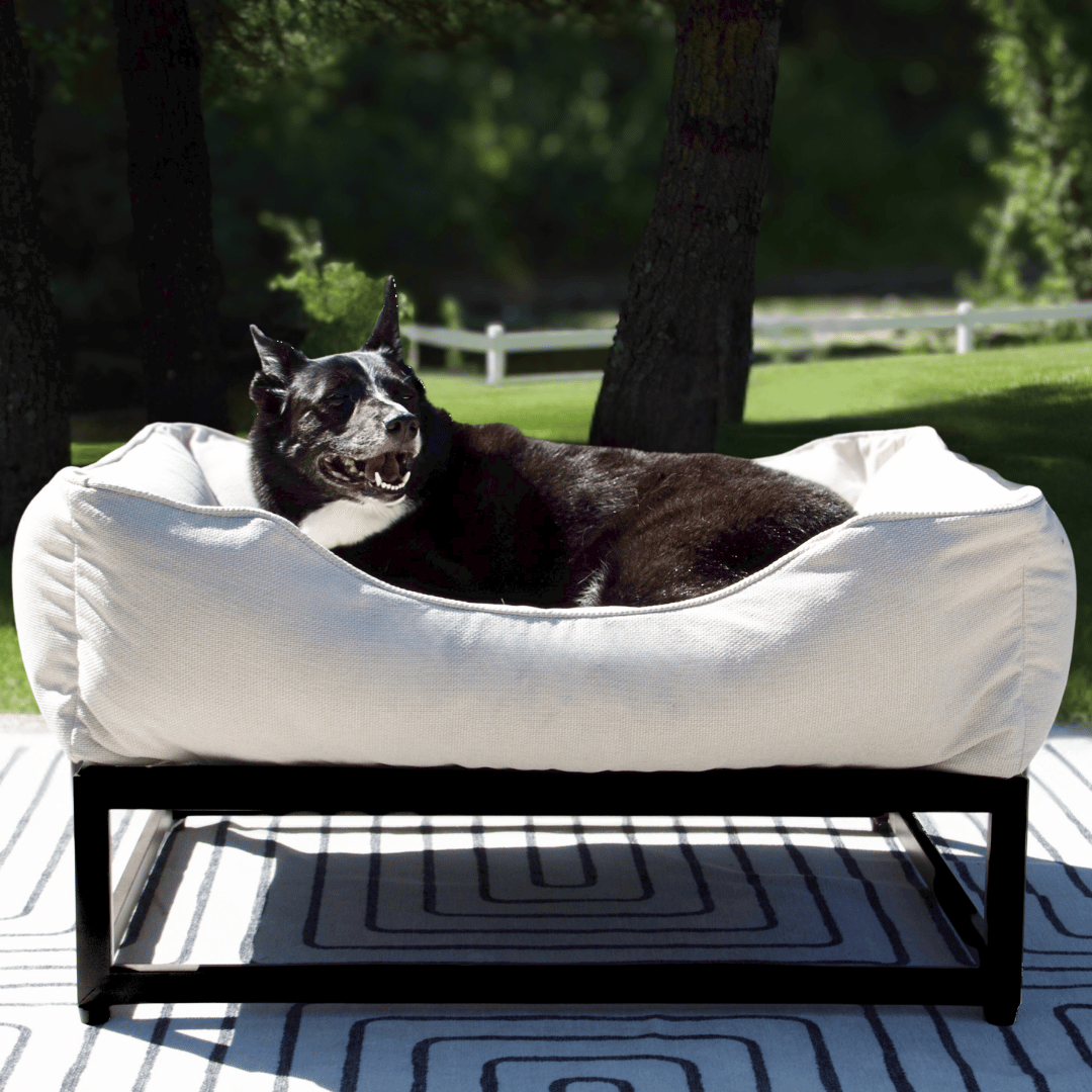 The FÜZI Dog Bed