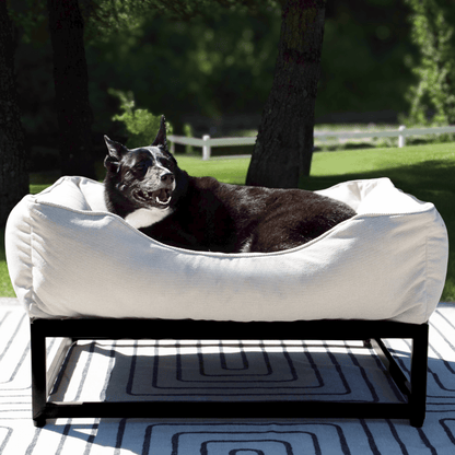The FÜZI Dog Bed