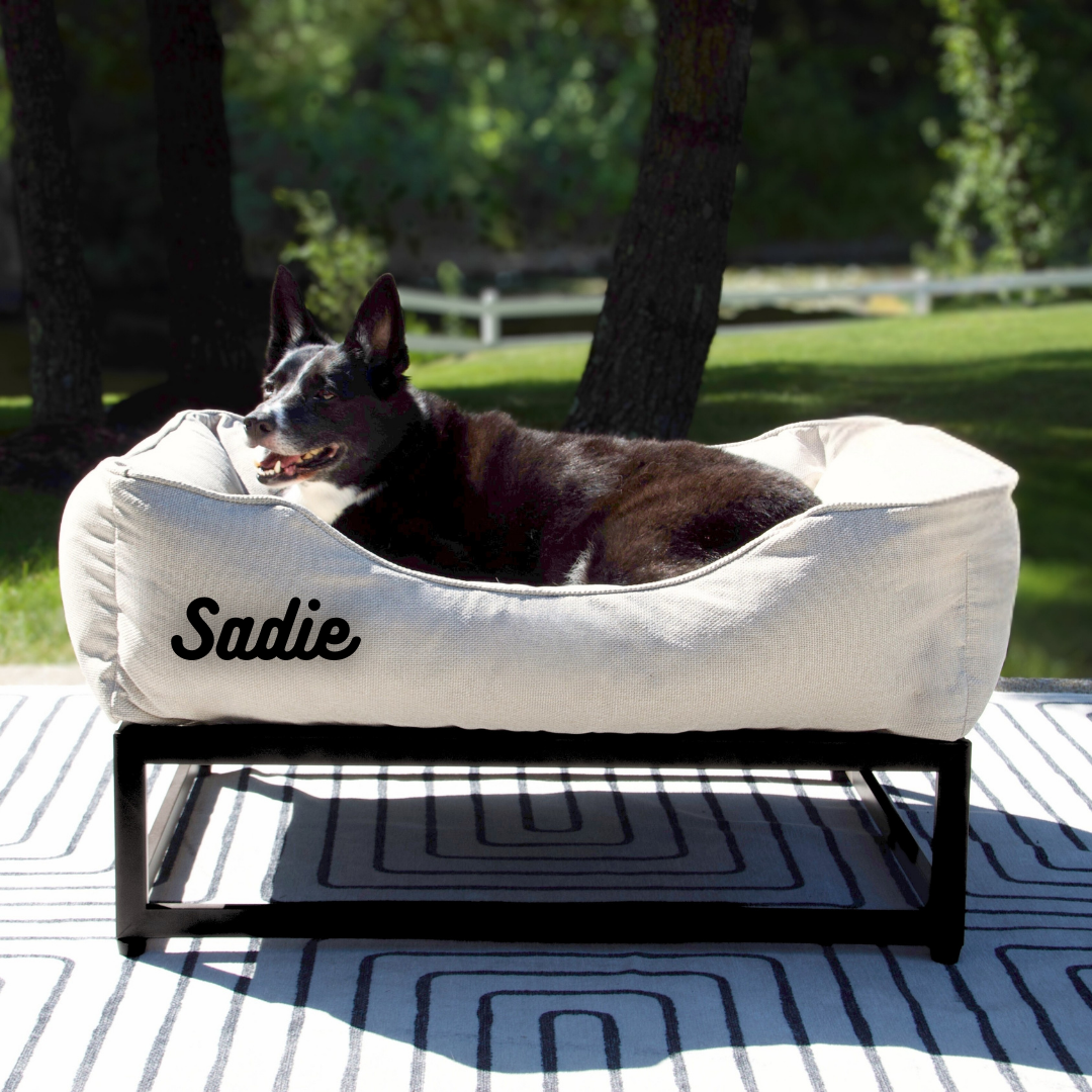 The FÜZI Dog Bed