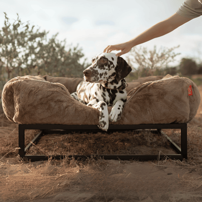 The FÜZI Dog Bed