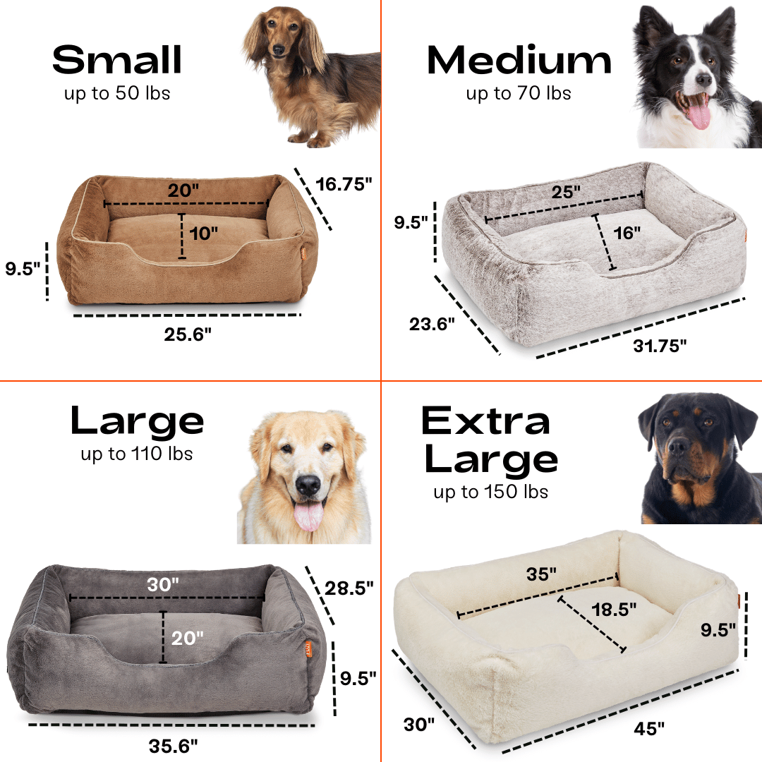 The Sammy Dog Bed