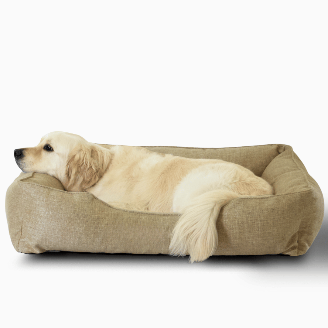 The Sammy Dog Bed