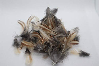 Rooster Feathers for Fly-Fishing or Crafts from Quail