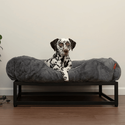 The FÜZI Dog Bed
