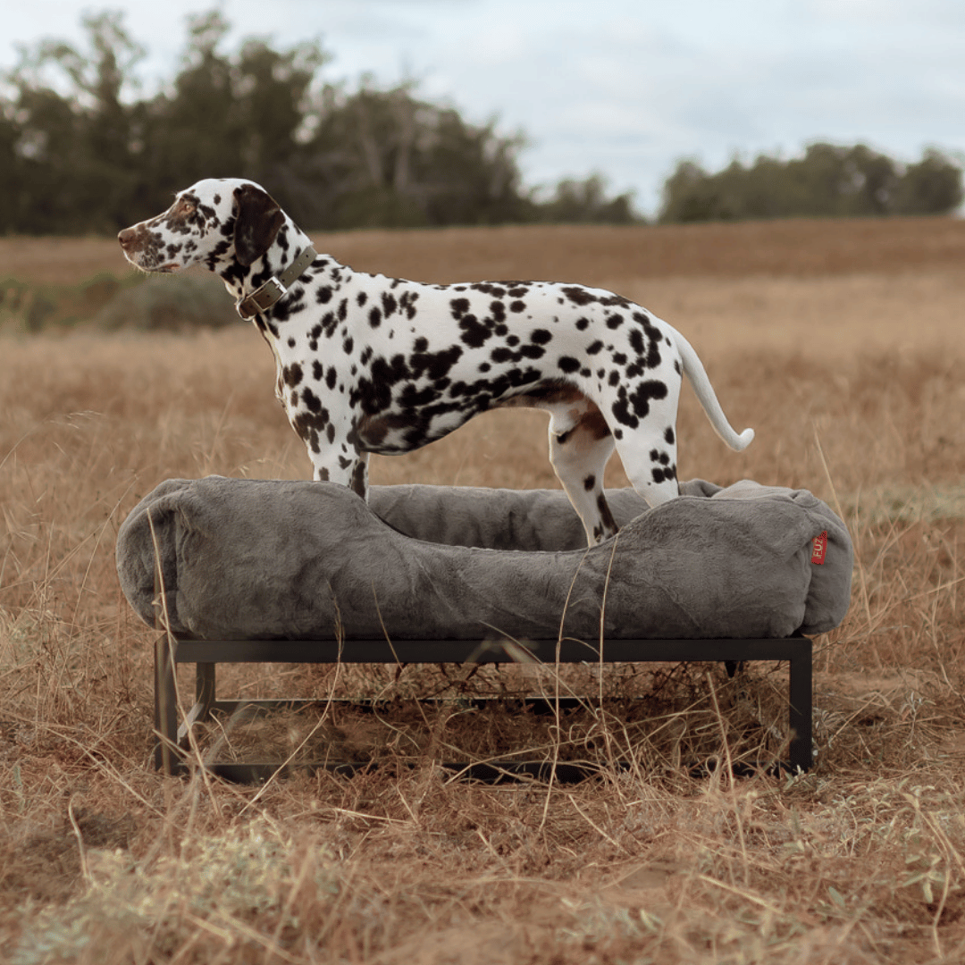 The FÜZI Dog Bed