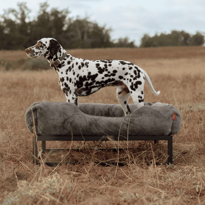 The FÜZI Dog Bed