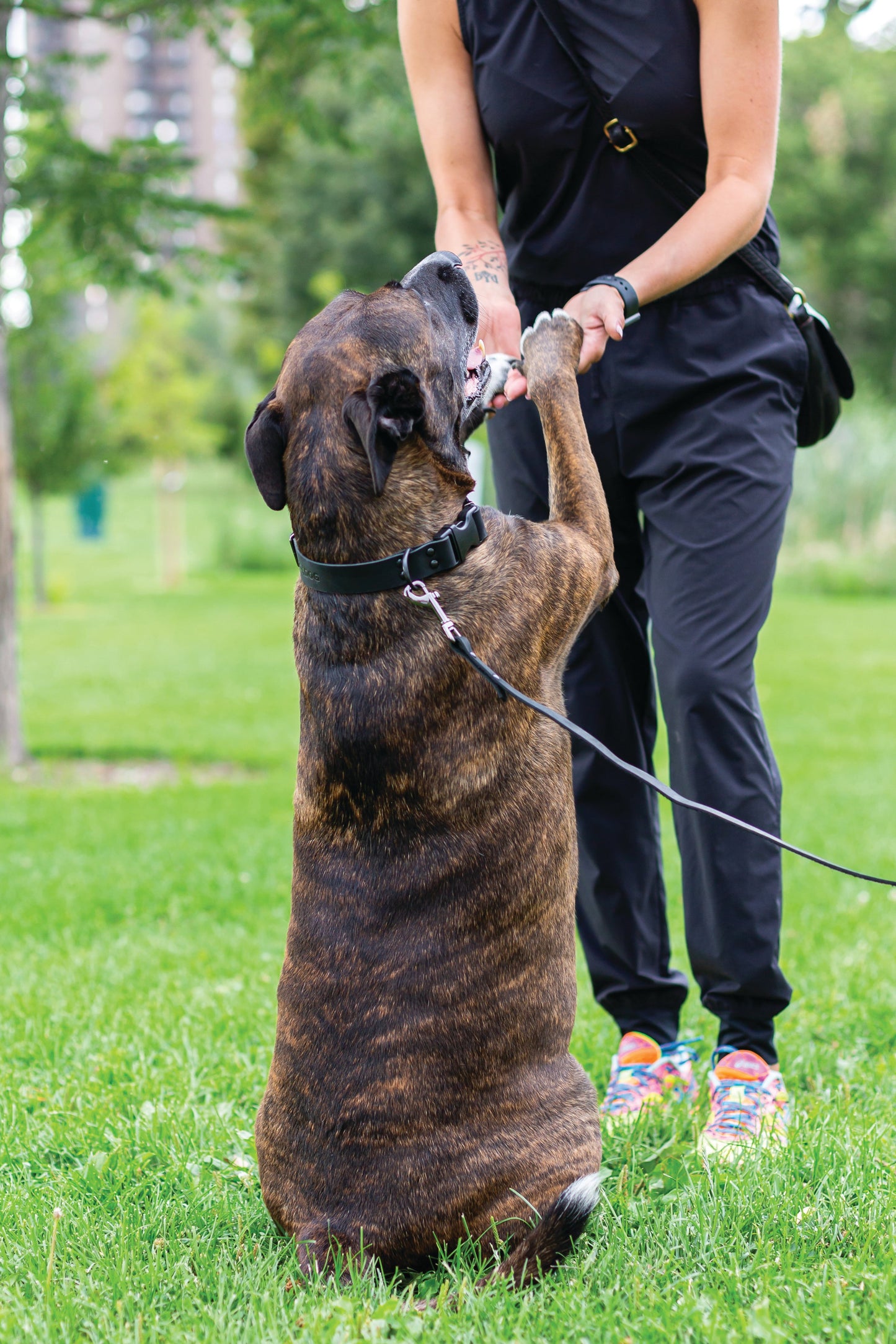 Sport Style Midnight Black Leather Leash