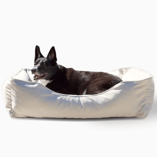 The Sammy Dog Bed