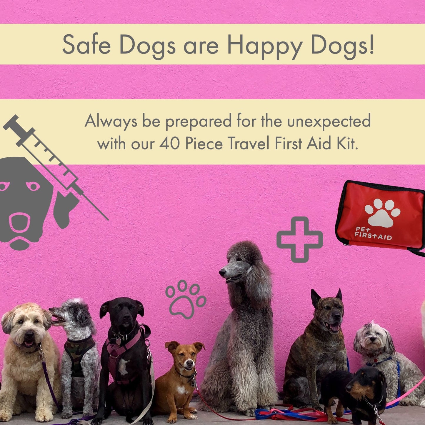 Comprehensive 40-Piece Pet Travel First Aid Kit for Emergencies, Safety, & Adventure