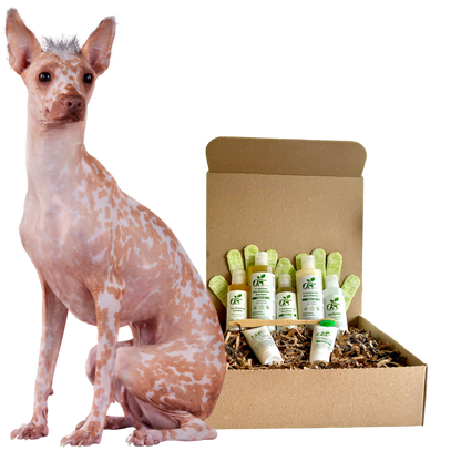 4-HAIRLESS PETS *DOG REGULAR KIT