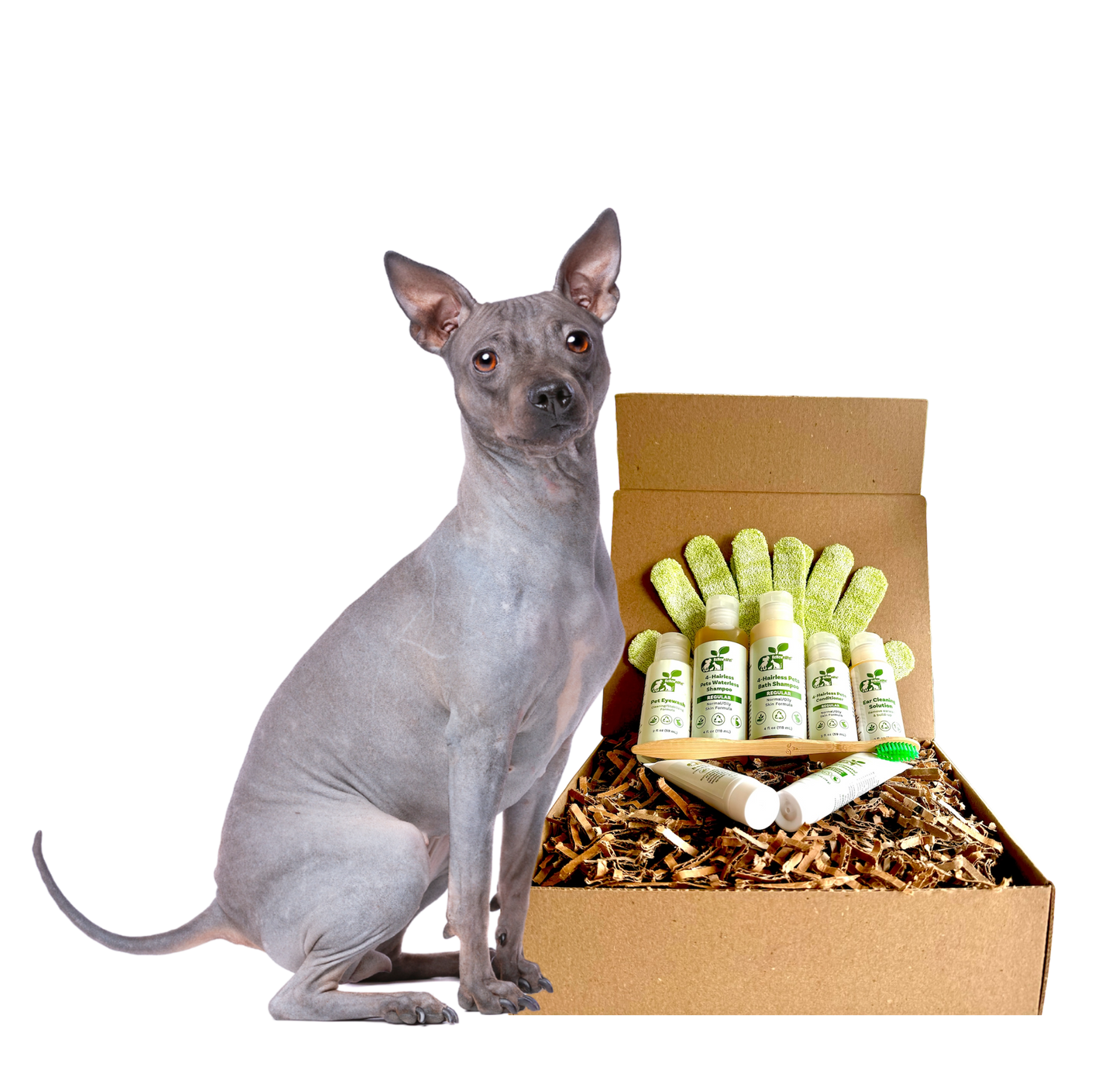 4-HAIRLESS PETS *DOG RESTORATIVE KIT
