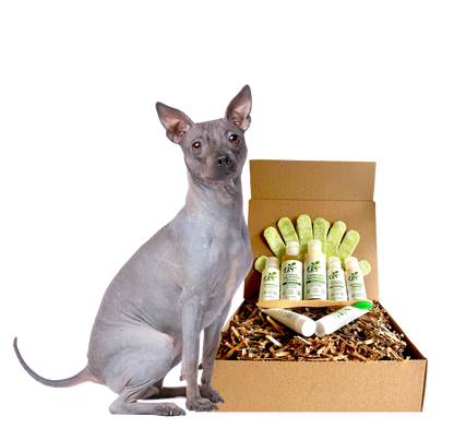 4-HAIRLESS PETS *DOG RESTORATIVE KIT