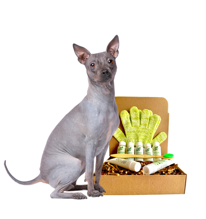 4-HAIRLESS PETS *DOG RESTORATIVE KIT