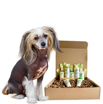 4-HAIRLESS PETS *DOG SENSITIVE KIT