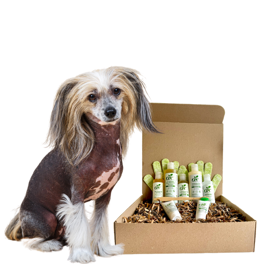 4-HAIRLESS PETS *DOG SENSITIVE KIT