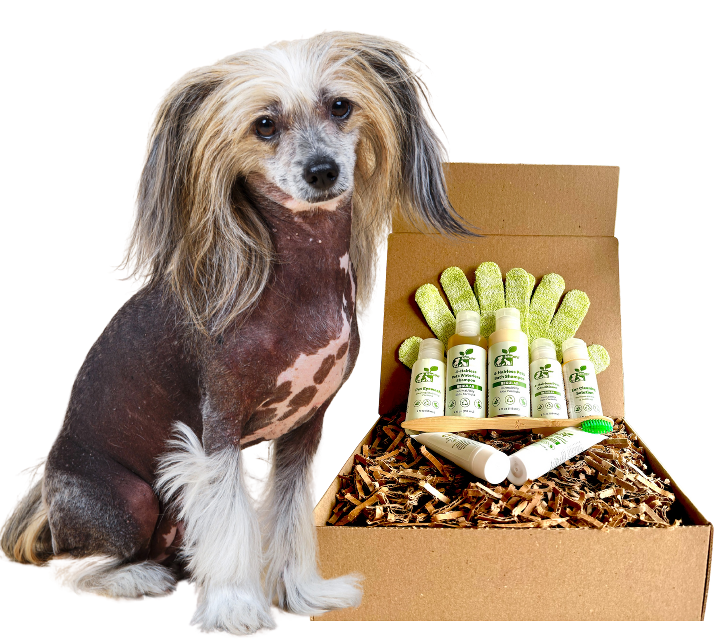 4-HAIRLESS PETS *DOG SENSITIVE KIT