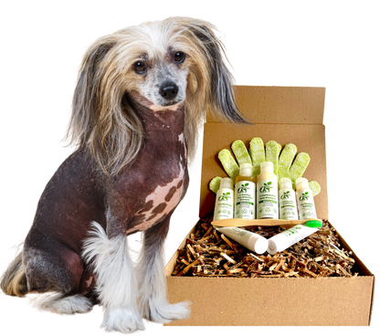 4-HAIRLESS PETS *DOG SENSITIVE KIT