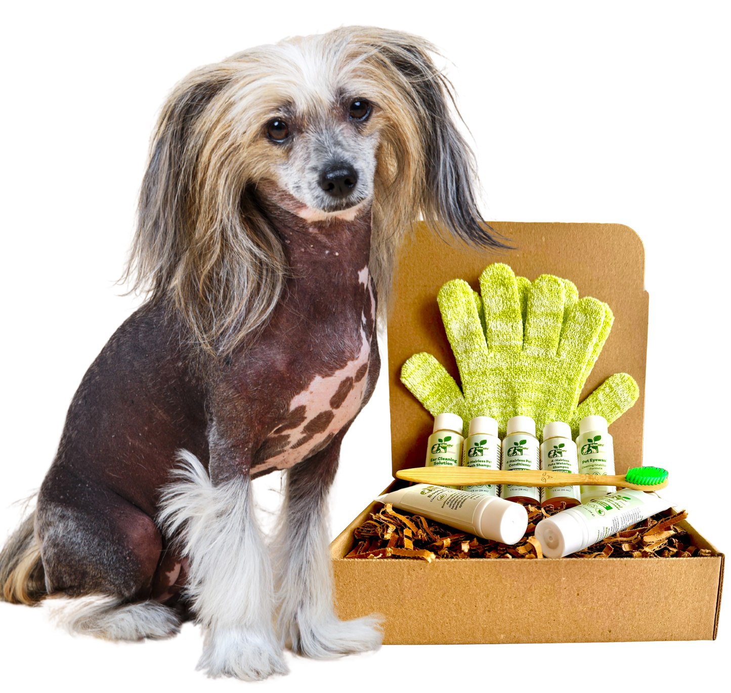 4-HAIRLESS PETS *DOG SENSITIVE KIT