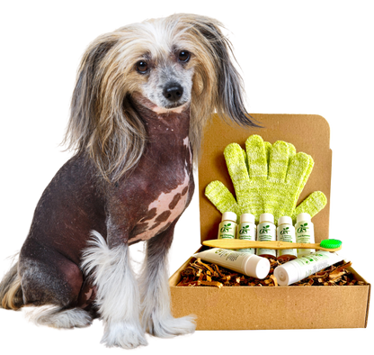 4-HAIRLESS PETS *DOG SENSITIVE KIT