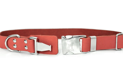 Modern Style Quick-Release Coral Reef Leather Dog Collar
