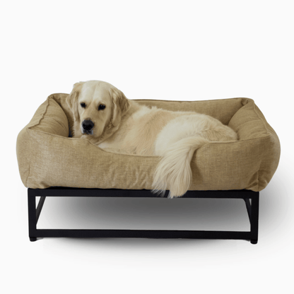 The FÜZI Dog Bed
