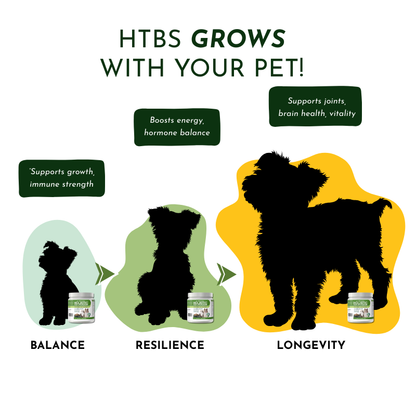 Pre-Order Holistic Total Body Support – Multivitamin & Glandular Support for Dogs and Cats