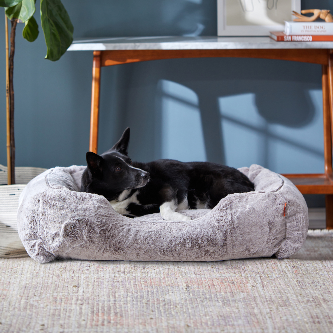 The Sammy Dog Bed