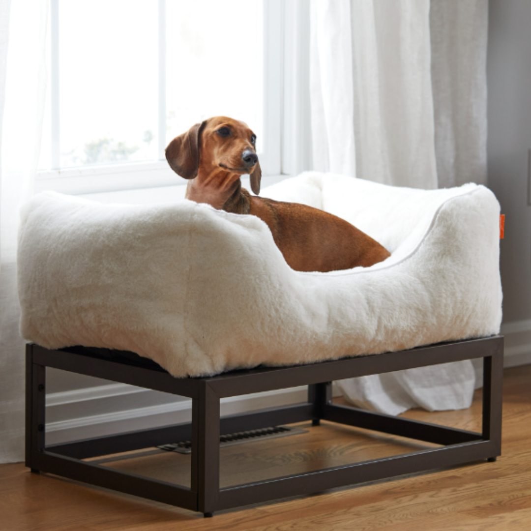 The FÜZI Dog Bed