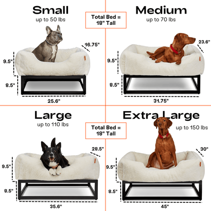 The FÜZI Dog Bed