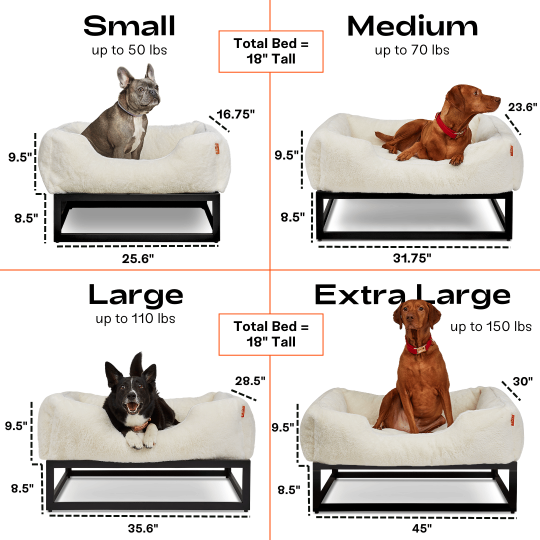 The FÜZI Dog Bed