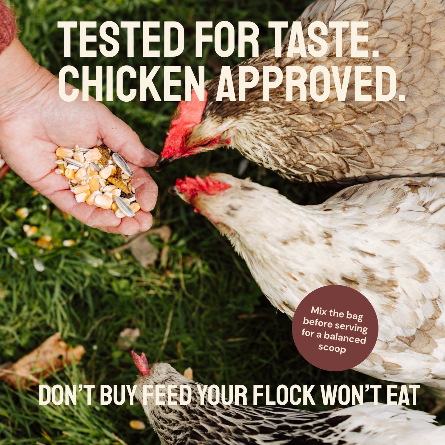 Essential Blend Chicken Feed (Formulated for Layers)