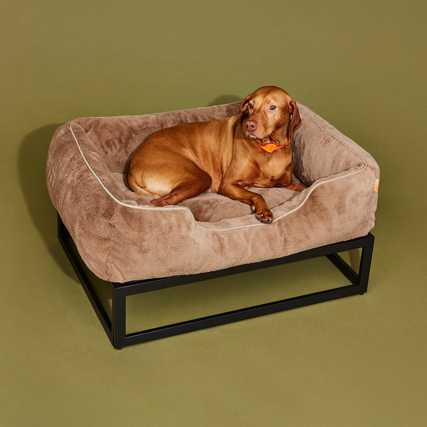 The FÜZI Dog Bed