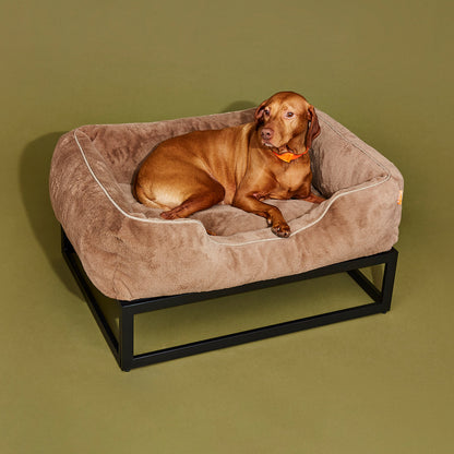 The FÜZI Dog Bed