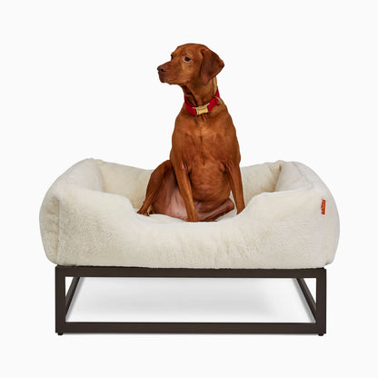 The FÜZI Dog Bed