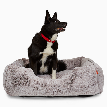 The Sammy Dog Bed