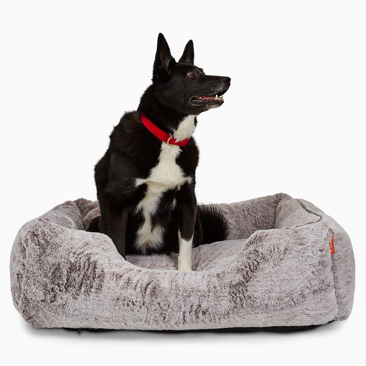 The Sammy Dog Bed