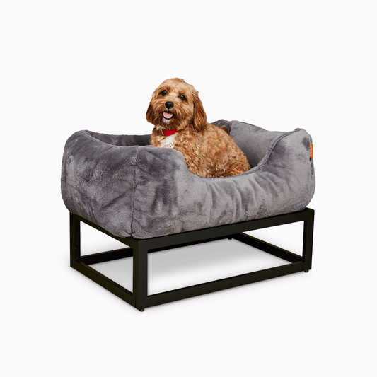 The FÜZI Dog Bed
