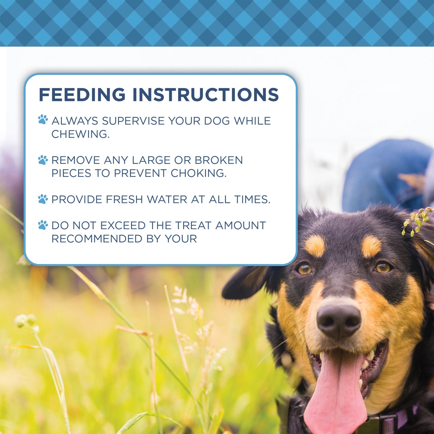 Country Living 4”-7” Beef Backstrap Tendon Dog Chews – 5 Count Bag – All-Natural, Long-Lasting, High-Protein Dog Treats – Single-Ingredient, Grain-Free