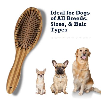 Country Living Dual-Sided Natural Wood Dog Brush - Ergonomic, Durable & Versatile