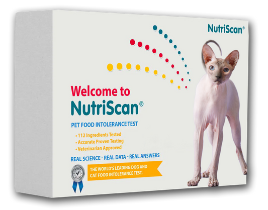 CAT FOOD ALLERGY / SENSITIVITY TEST!